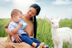 排名前十的婴儿奶粉中佳贝艾特羊奶粉引领行业新发展
