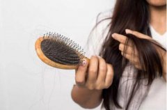 你的头发为什么一梳就掉？防脱洗发水有用吗？