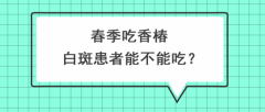 白癜风医生雷安萍：春季吃香椿，白斑患者能不能吃？