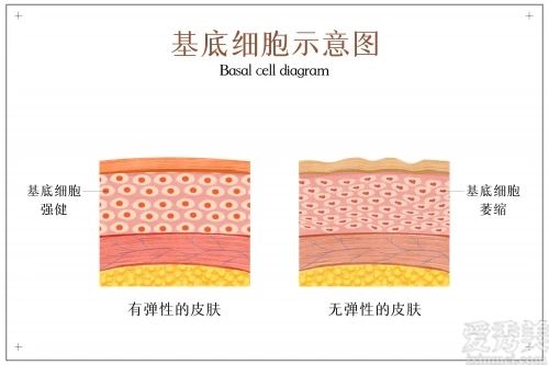 日常肌肤保养，别忘了搭配汤臣倍健胶原蛋白果味饮料