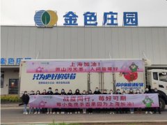 金色庄园联合百果园共同守“沪”，为上海送上9000余包蔬菜