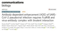 迈威生物在Communications Biology发表新冠中和抗体的ADE机制研究成果