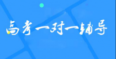 辅导班没效果？大智告诉你高中1对1辅导班怎么选