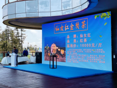 2022年仙女红春茶竞买活动成功举办