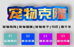 宠物克隆技术日趋成熟 希诺谷专业服务值得信赖