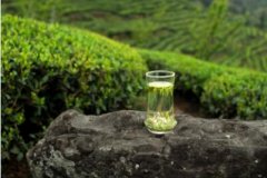 定义高端绿茶行业标准，竹叶青茶以自身实力驱动中国高端茶走出国门