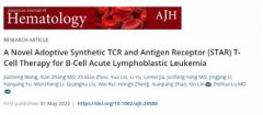 AJH:陆道培团队发表新型CD19靶向STAR-T细胞治疗R/R B-ALL的研究论文