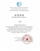 “水星艺术”受邀加入中国计算机行业协会元宇宙产业委员会
