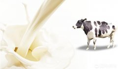 飞鹤旗下备受关注的奶粉品牌汇总，国际妈咪详细解析