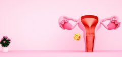 中国晚期卵巢癌一线维持治疗数据出炉，卵巢癌靶向药尼拉帕利再添新力证