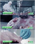 喜提“轻世代”关注，金锣健食力做对了什么？
