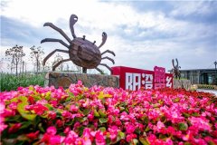 阳澄湖大闸蟹是哪里的？阳澄湖大闸蟹礼券哪家好？