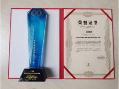 王汉成获评斯贝瑞奖2021年度文物信息处理10佳杰出人物