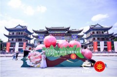 2022年第四届中国石榴博览会盛大开幕！