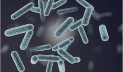 霉菌性阴道炎该怎样预防？