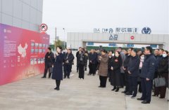 透视玉湖集团旗下玉湖冷链武汉园区：黄陂为何能锚定华中冷链“流量入口”？