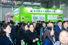 3月20日武汉整装定制家居展在武汉国际博览中心盛大开幕