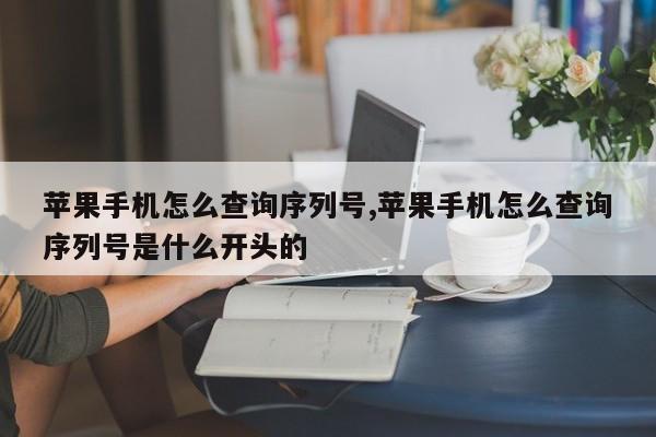 苹果手机怎么查询序列号,苹果手机怎么查询序列号是什么开头的