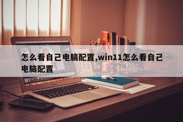怎么看自己电脑配置,win11怎么看自己电脑配置