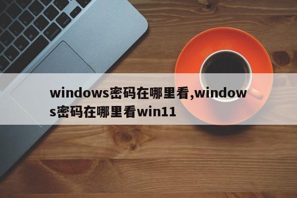 windows密码在哪里看,windows密码在哪里看win11