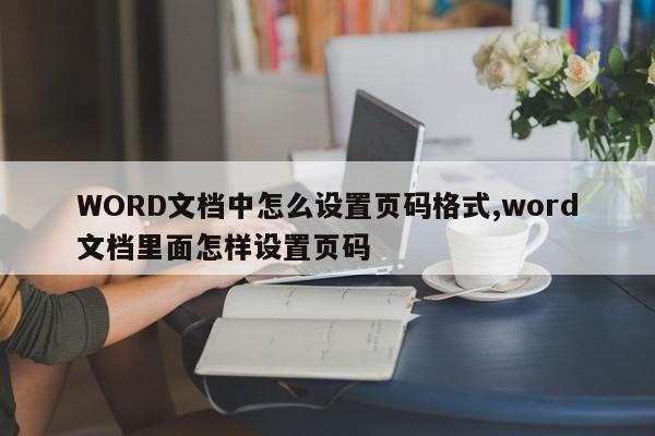 WORD文档中怎么设置页码格式,word文档里面怎样设置页码