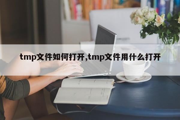 tmp文件如何打开,tmp文件用什么打开