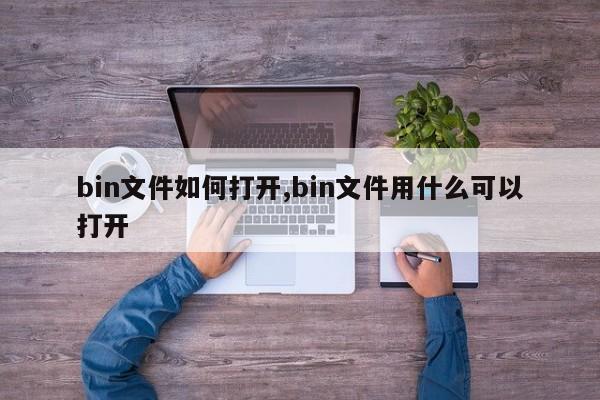bin文件如何打开,bin文件用什么可以打开