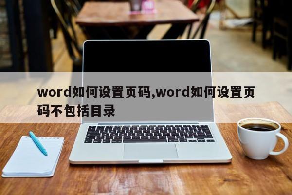 word如何设置页码,word如何设置页码不包括目录