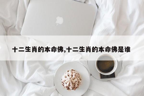 十二生肖的本命佛,十二生肖的本命佛是谁